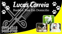/album/galeria-de-fotos/cart%c3%a3o%20banho%20e%20tosa-jpg/
